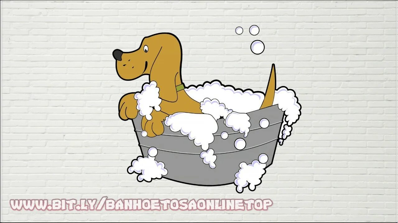 Какие приспособления помогают животным переносить жару. Памятка как пережить жару. как помочь питомцу в жару. как помочь животным в жару. как помочь питомцу пережить жару.