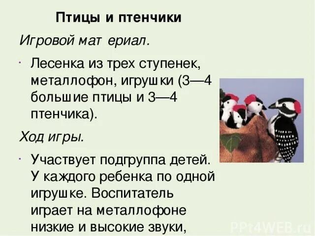 Птенчик корень слова. Птенец разбор слова по составу. Правописание слова птенцы. Птенчик корень слова. Птенчик корень слова.