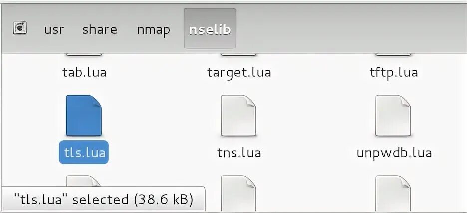 File usr share