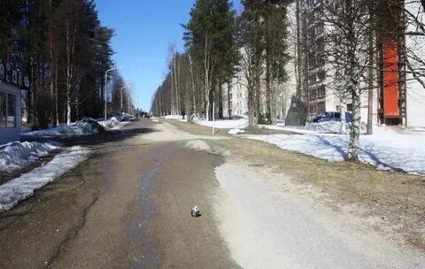 Собственная улица
