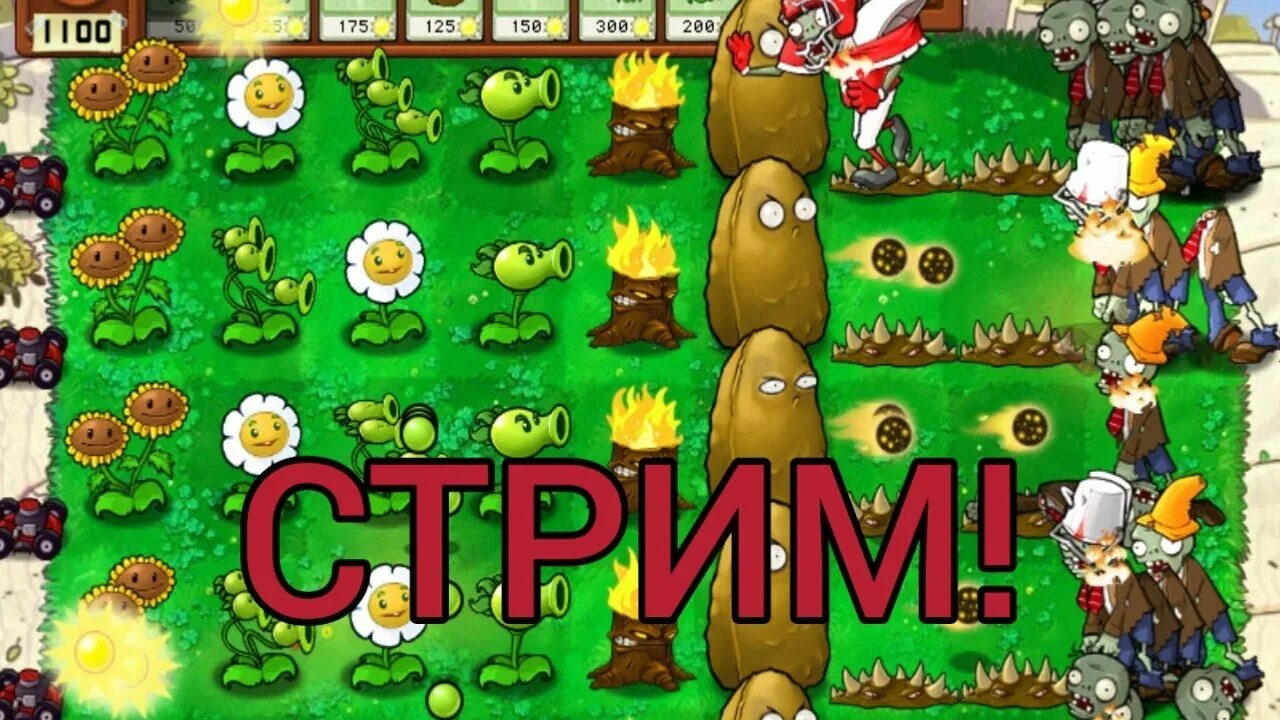 Растения против зомби. Plants vs Zombies 2. Флеш игра люди против растений. Зомби против растений солнышко много. Золотая против растений