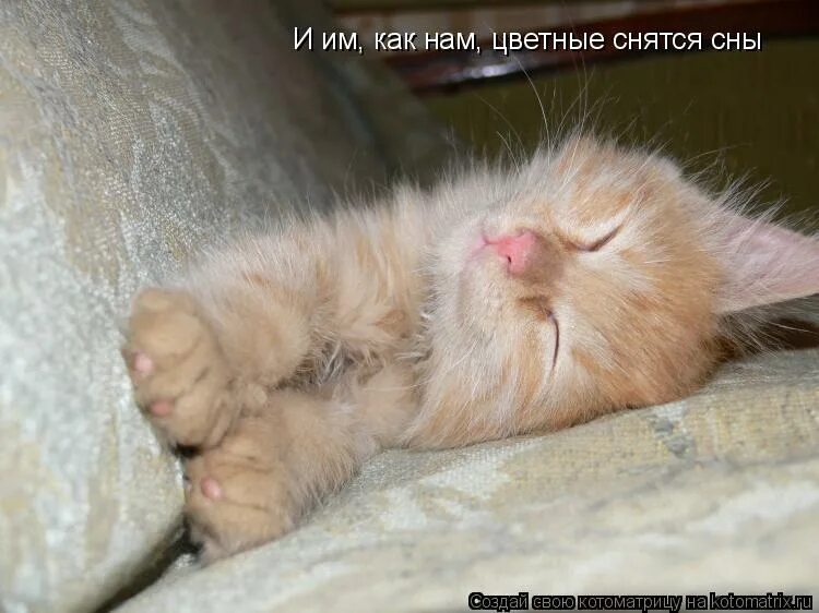 Да и утром все не так