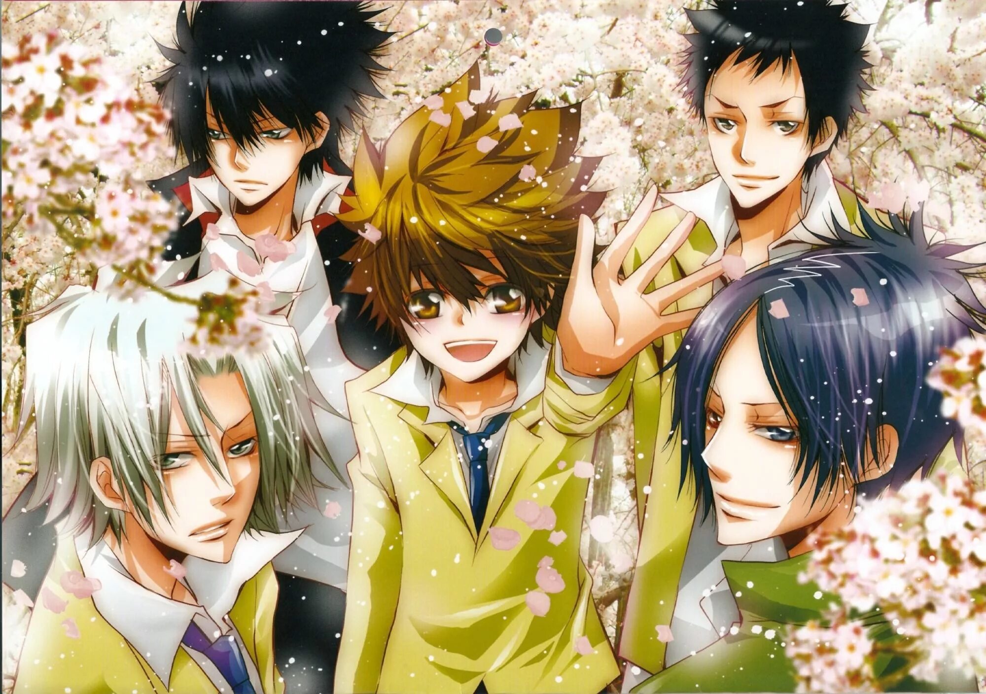 Аниме учитель мафиози реборн. Nbs reborn 11. Аркобалено реборн взрослый. Нбс реборн. Нбс реборн.