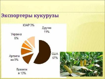 Кукуруза страны производители