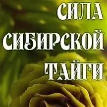 Сила тайги сила гор