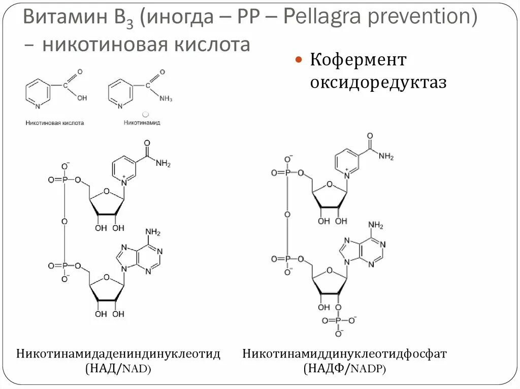 Активная форма в 5. Витамин в3 формула кофермента. Кофермент витамина в3. Витамин PP коферментная форма. Коферментная форма никотиновой кислоты.