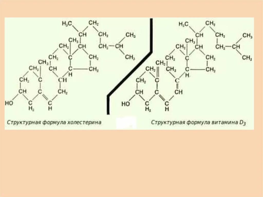 Витамин д2 и д3. Химическая структура холестерина. Холестерин формула структурная. Холестерол химическая структура. Холестерин полная структурная формула.