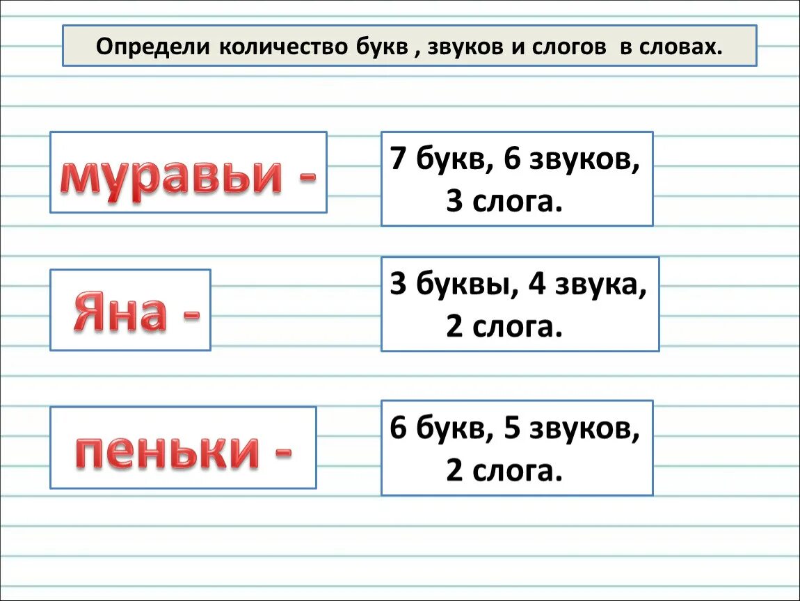 Количество букв и звуков в слове лето