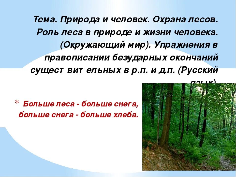 Текст в природе есть праздники. Охрана природы лесов. Охрана леса доклад. Презентация охрана лесов. Презентация на тему лес.