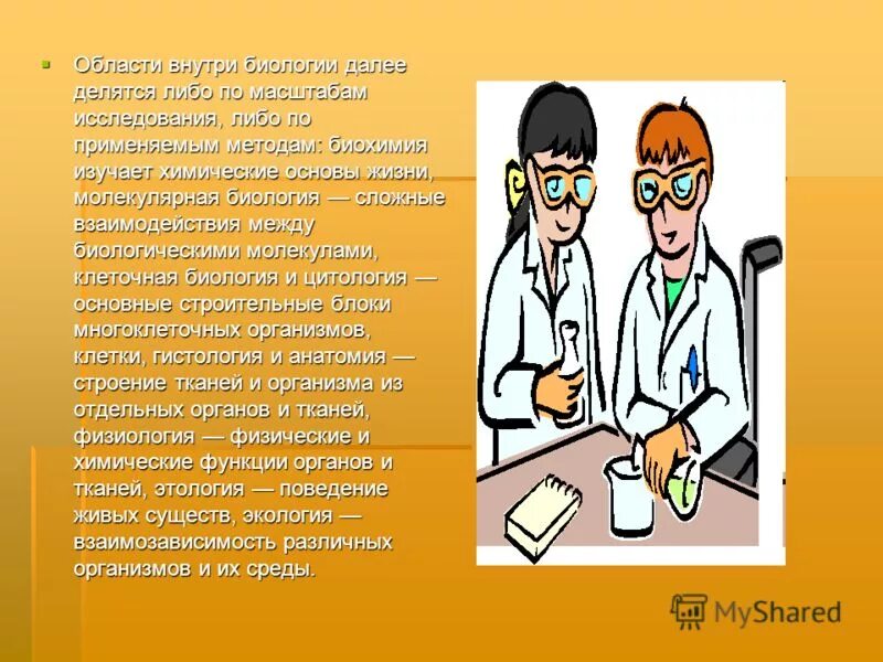 зачем нужно изучать биологию. зачем нужна геометрия. эссе на тему зачем нужны человеку науки. эссе на тему зачем нужны человеку науки.