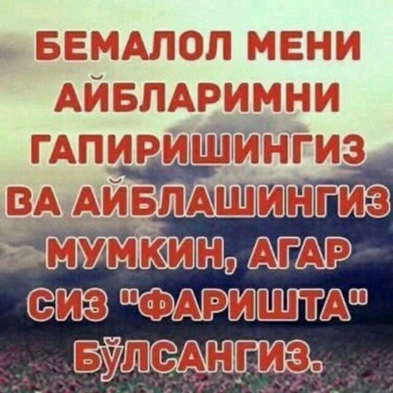 4 та мазхаб номлари. халол ва харом. оллохим. харом нима. харом нима.