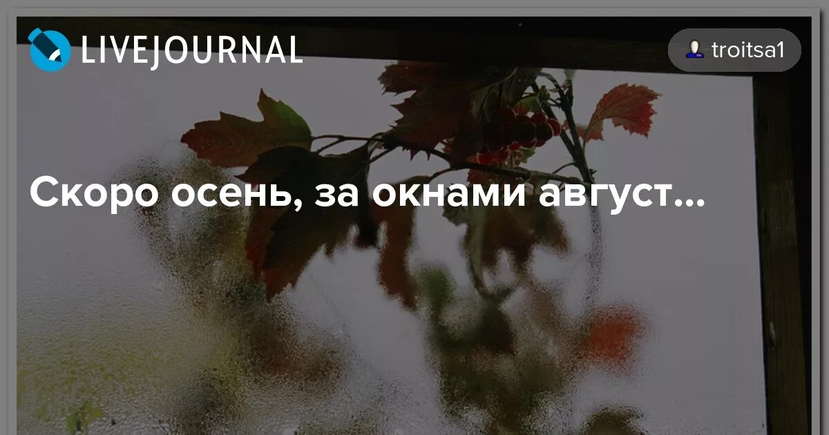 Скоро осень за окнами август. Август скоро осень за окнами август. Скоро осень за окнами. Скоро осень за окнами август от дождя.