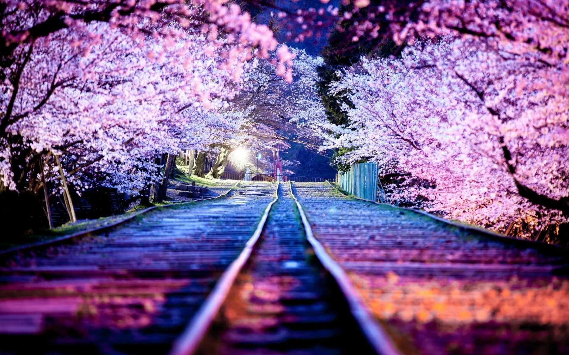 Beautiful e