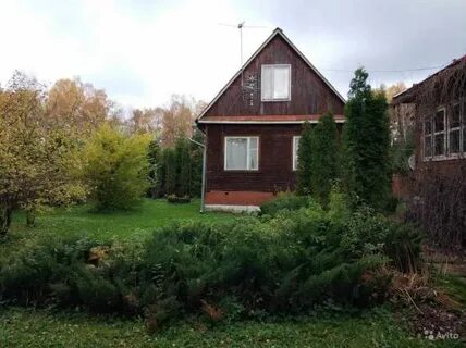 Снт ивушка московская область