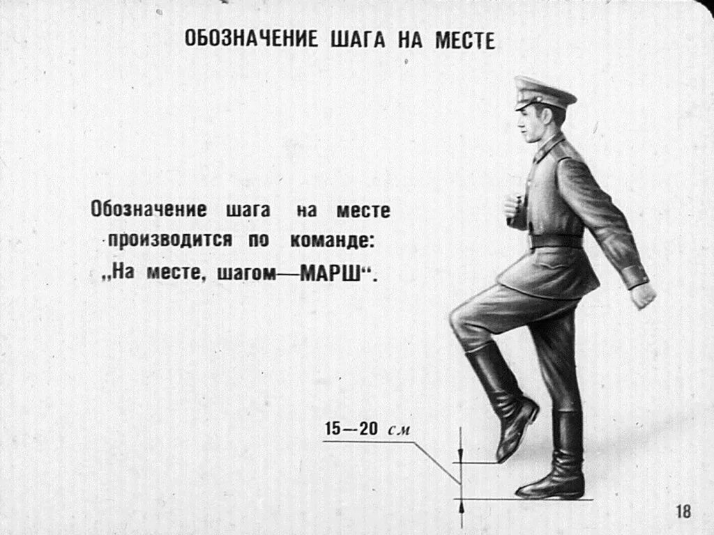В строю читать книгу