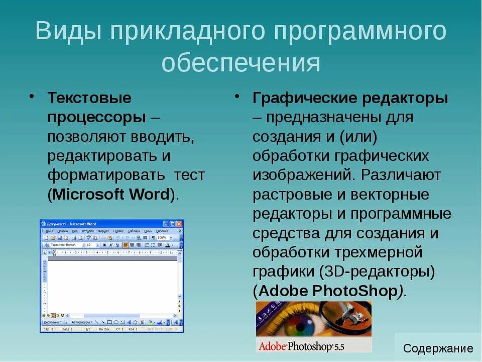 Программное обеспечение текстовый редактор. Текстовые и графические редакторы. прикладные компьютерные программы. прикладное программное обеспечение текстовые редакторы. текстовые процессоры графический редактор.