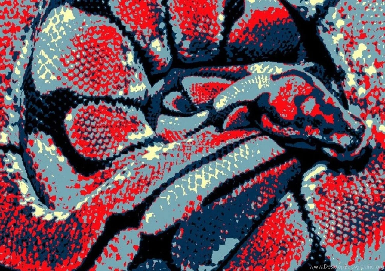 Абстракция python. Змеи абстракция. питон абстракция. удав абстракция. обои питон радужный.