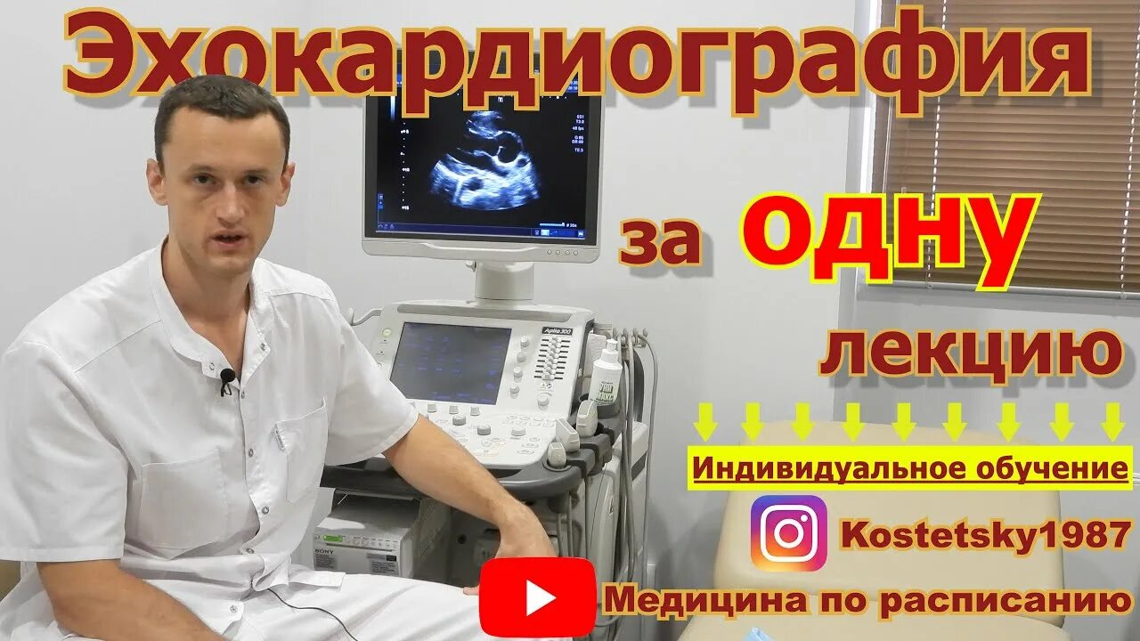 Врач узи обучение ultrasonicthyroid ru. УЗИ сердца лекция для врачей. Эхография сердца лекции. Видеолекции по ЭХОКГ Рыбаковой. Врач УЗИ обучение.