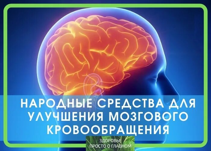 Как увеличить циркуляцию