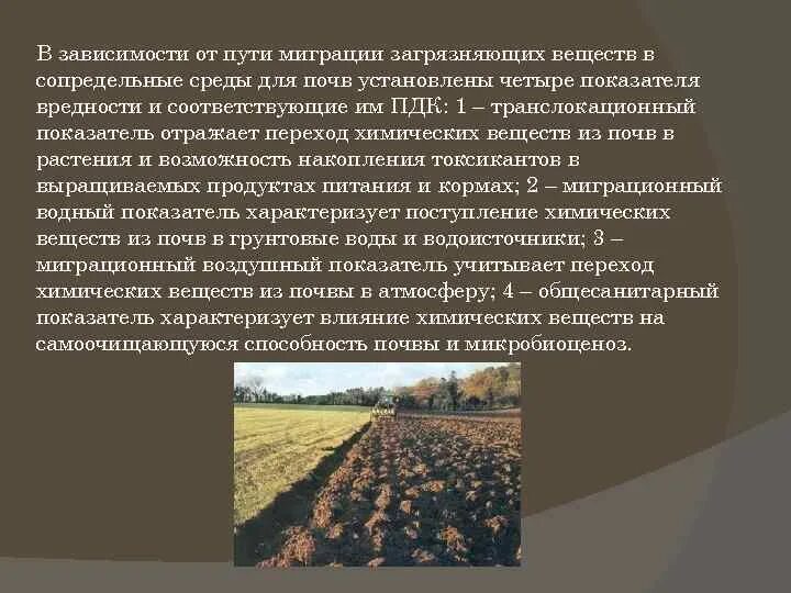 Характеристика почвенного покрова