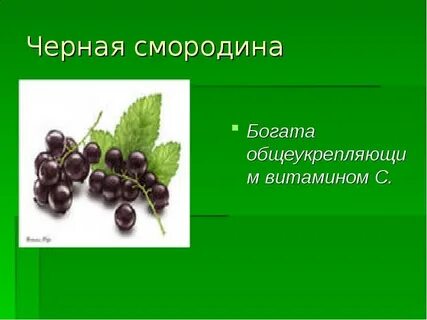 Витамин c в смородине