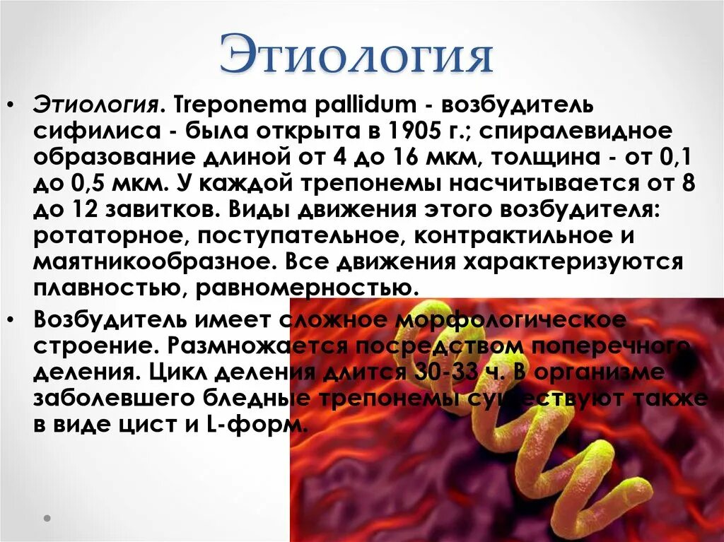 Исследование на treponema pallidum igm. Сифилис бледная трепонема. Исследования возбудителей сифилиса. Сифилис возбудитель заболевания.