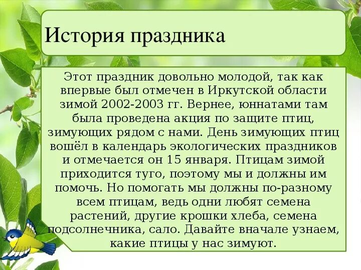 15 января праздник день зимующих птиц. 15 января день зимующих птиц россии. день зимующих птиц история праздника. день птиц в январе.