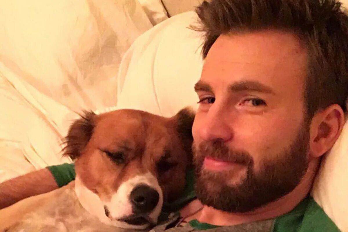 Доджер дог. Dog chris. Dog chris. Эванс и его пес доджер. Dog chris.