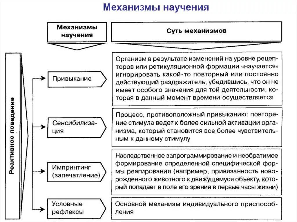 Виды научения. Способы научения. Типы научения в психологии. Научение и виды научения. Типы и виды научения.