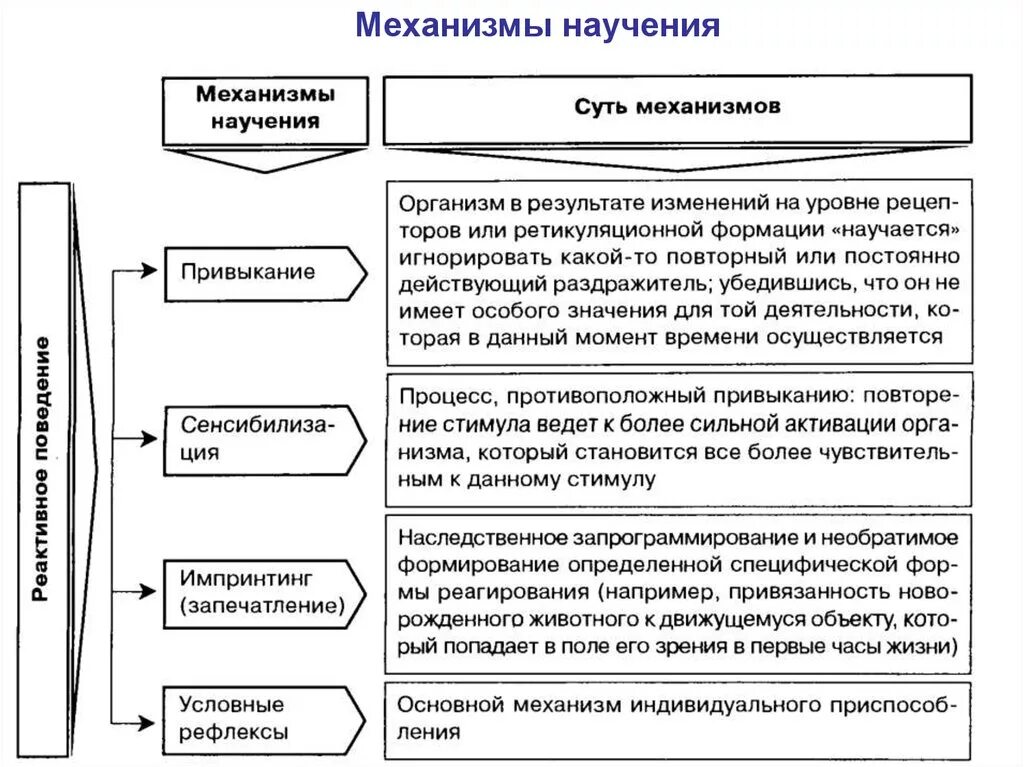 Исследования научения. Формы научения таблица. Основные виды научения схема. Механизмы научения схема. Механизмы развития в теории научения.