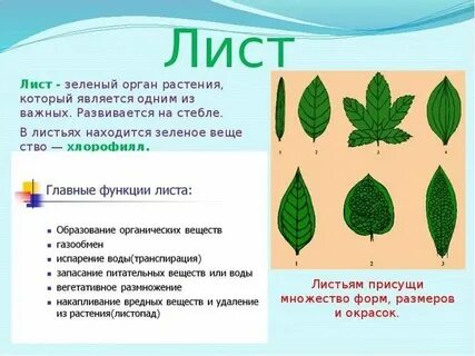 Лист свойства