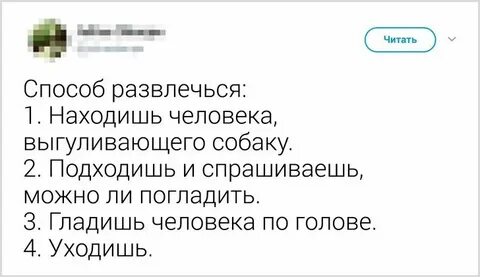 Взрослая жизнь читать