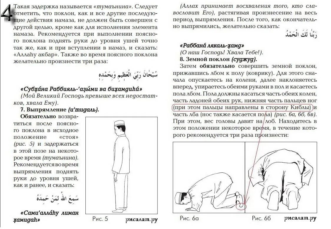 Намаз по шафиитскому мазхабу для мужчин. Как селат намаз. Схема намаза для мужчин. Намаз текст. Схема чтения намаза для мужчин.