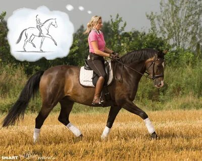 Reiten Mit Inneren Bildern Mit Gedankenkraft Zum Erfolg 