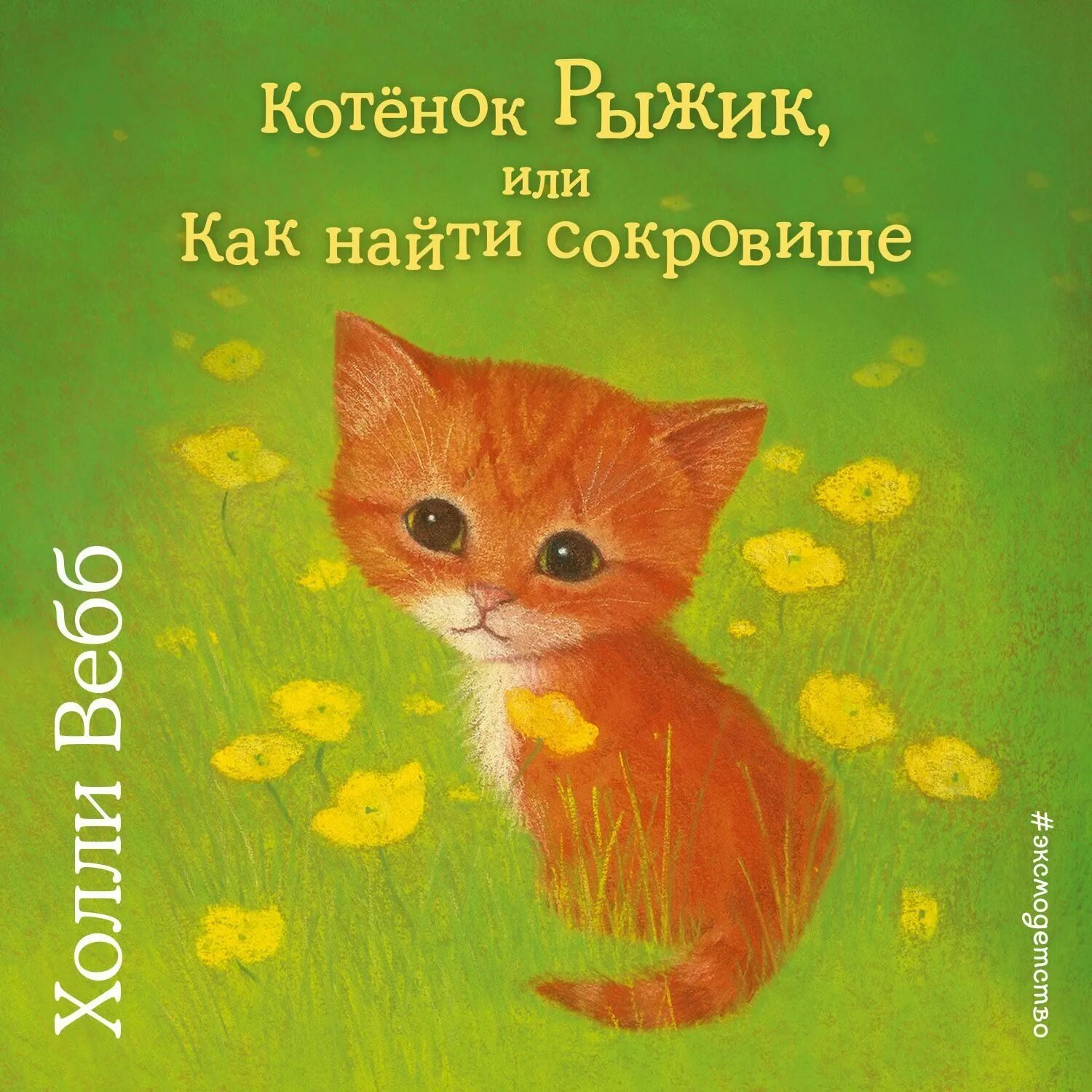 Котенок аудиокнига. Холли вебб котенок рыжик. книги холли вебб котенок рыжик. холли вебб котенок. книжка холли вебб котёнок рыжик.