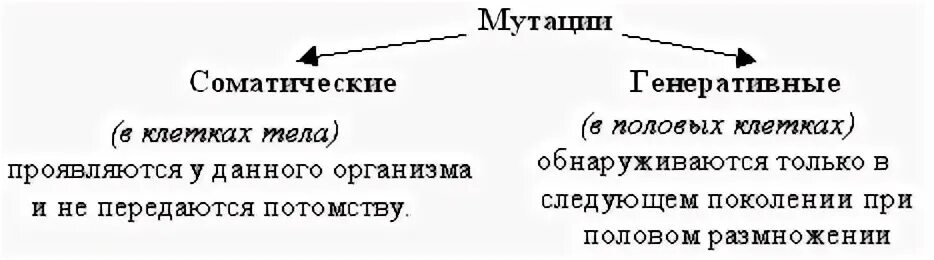 Соматические и генеративные мутации таблица. Схема мутации соматические и генеративные мутации. Соматические мутации и генеративные мутации таблица. Мутационная изменчивость клетка. Генеративные изменения