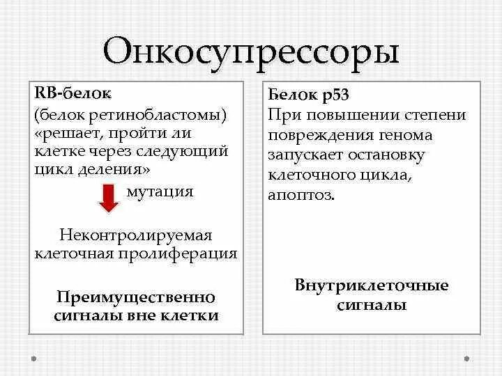 Роль онкогенов и онкосупрессоров