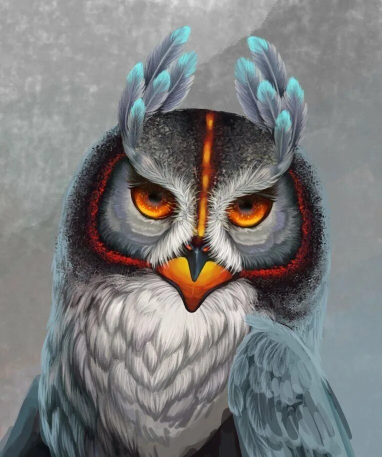 Фамильяр сова сова. Птица филин неясыть. Фамильяр филин. Сова пестрая неясыть. Сова вещунья.