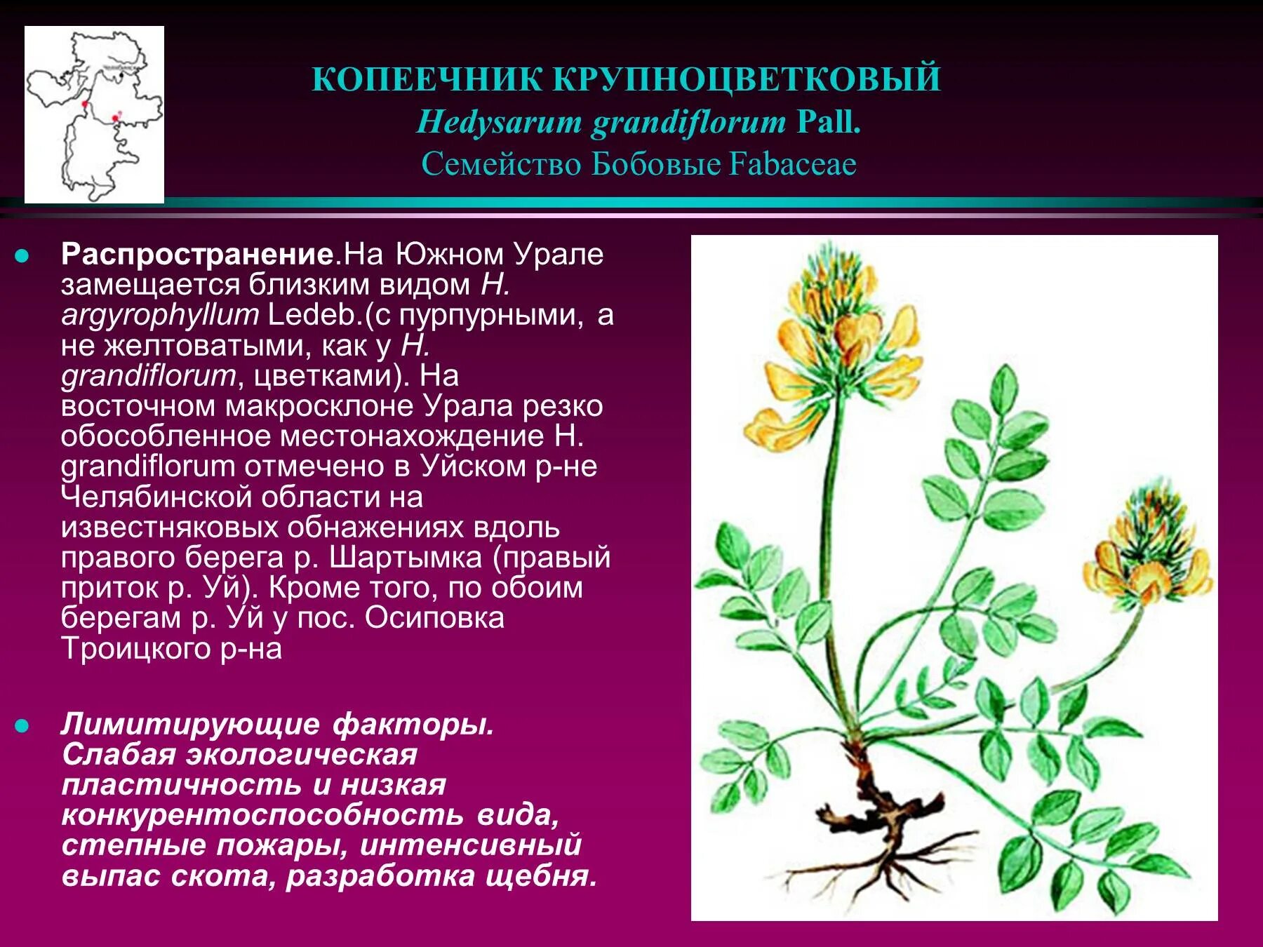 Распространение бобовых