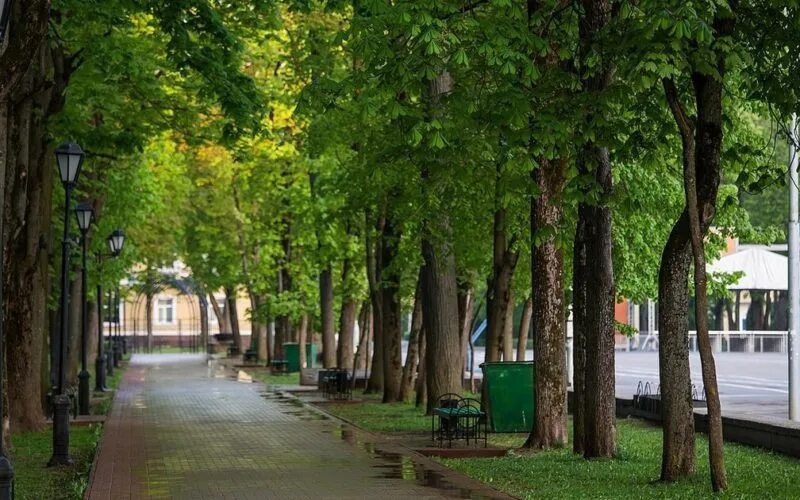 Город смоленск лопатинский сад. Лопатинский сад смоленск. Смоленск сад блонье (парк им. Сколько парков в смоленске. Реажовчеий парк смоленск.