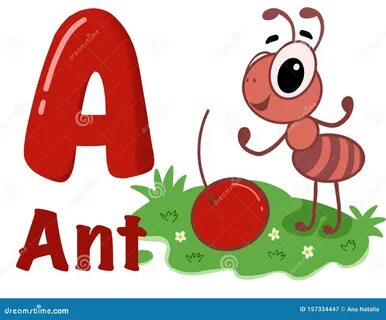 Слово ant