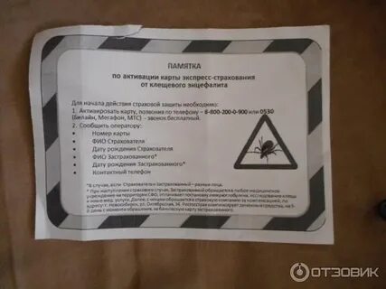 Страховка от клеща в новосибирске 2024 сколько