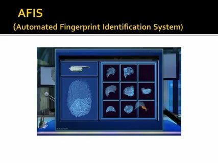 Fingerprint identification