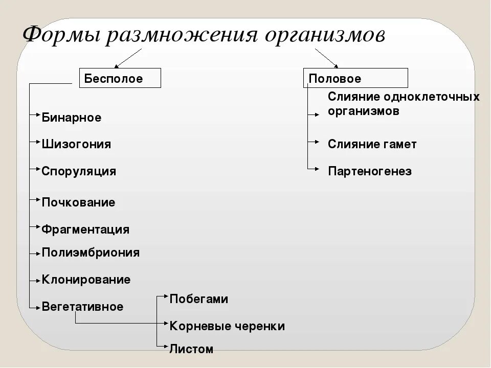 Какие два типа размножения различают в живой. Формы полового размножения организмов. Формы бесполого размножения организмов. Основные типы полового размножения. Размножение организмов бесполое и полое.