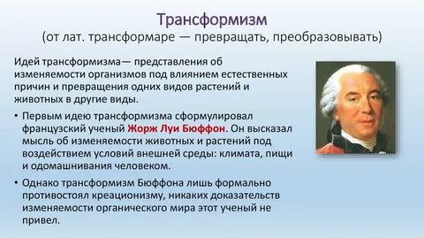 Что такое трансформизм