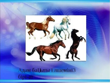 Тұлпар карта тараз
