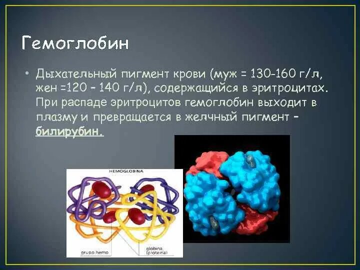 Пигмент эритроцитов. Гемоглобинные пигменты. дыхательные пигменты. пигмент гемоглобин.