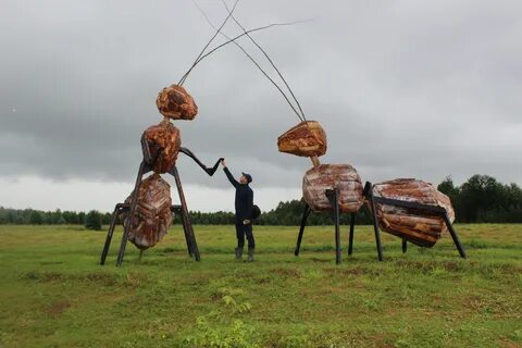 Муравей архангельск