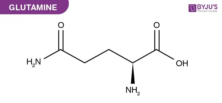 Глутамат кальция. Глутамин. глутамат в глутамин. глутамин формула. glutamine structure.