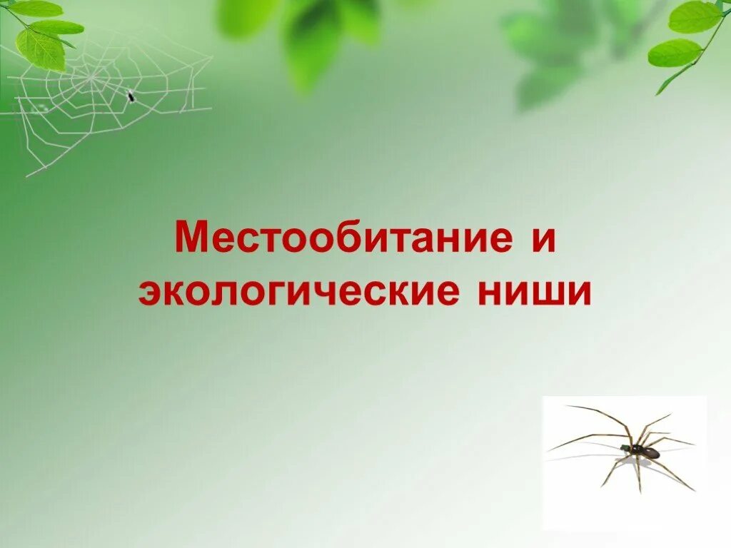 Экологический урок по биологии. Строение и грамматическое значение предложений. Зоология наука о животных. Строение и грамматическое значение. Невидимые нити в природе 2 класс.